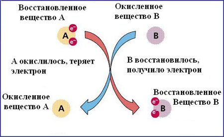 окисление и восстановление при редокс-балансе редокс-баланс